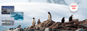 Antarctique 2020, voyage d'une vie