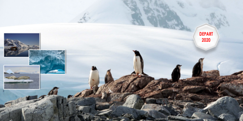 Antarctique 2020, voyage d'une vie