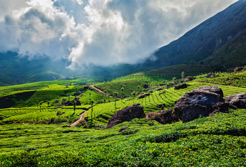 NEW MANGALORE (Inde)