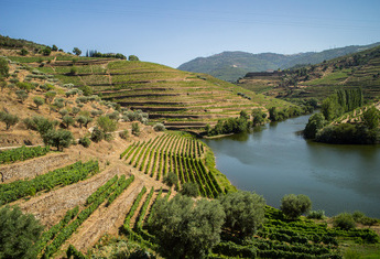 BARCA D'ALVA - FERRADOSA - PINHAO