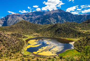 AREQUIPA - VALLEE DE COLCA - VOLCAN ET VIGOGNES