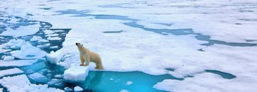 Exploration Spitzberg 2021