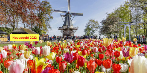 Jardins en fête, une croisière évènement aux Pays-Bas