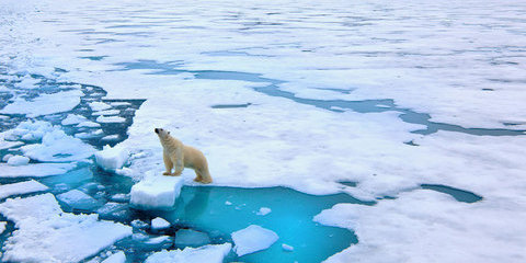 Incroyable arctique 2022, du Spitzberg à l'Islande