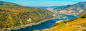 Croisière musicale sur le Rhin dans le sillage de Schubert