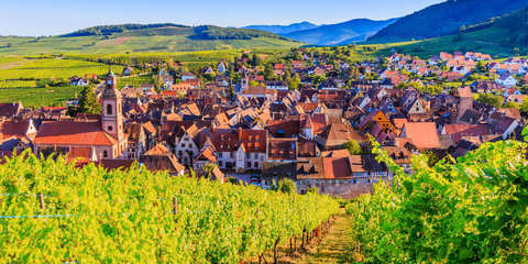 L’Alsace pittoresque et gourmande 2024 