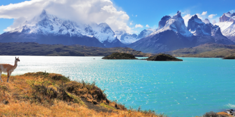 Croisière culturelle Patagonie et Terre de Feu