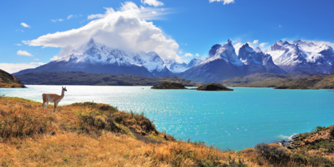 Patagonie & Terre de feu avec Science & Vie 