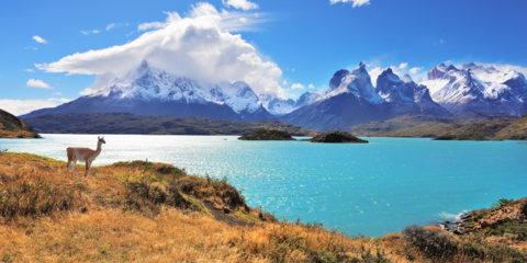 Croisière culturelle Patagonie et Terre de Feu