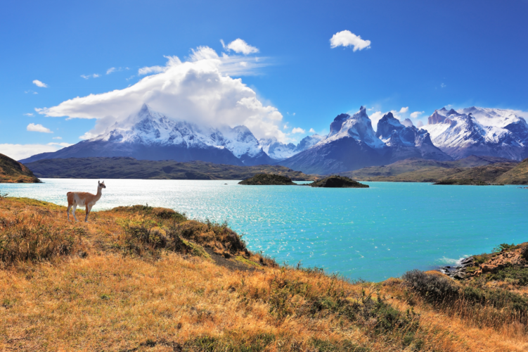 Patagonie & Terre de feu avec Science & Vie 