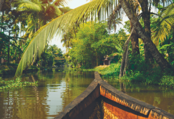 Excursion dans les magnifiques backwaters