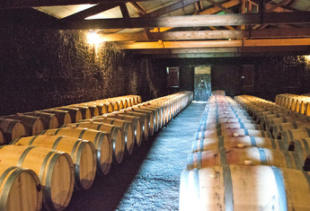  BORDEAUX - CUSSAC-FORT-MEDOC - Le Médoc