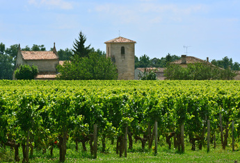  BLAYE - LIBOURNE - Saint-Emilion