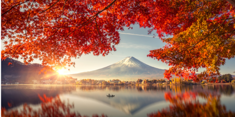 Croisière culturelle au Japon