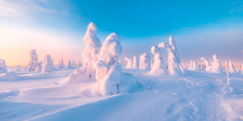 Séjour au cœur de la Laponie suédoise