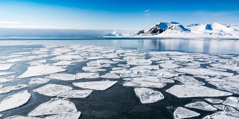 Les croisières expéditions de Rivages du Monde