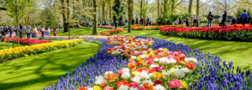 Croisière jardins : d'Amsterdam à Bruxelles 