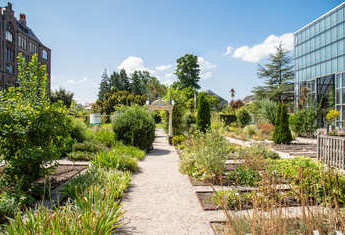 AMSTERDAM (ou environs) (2) 