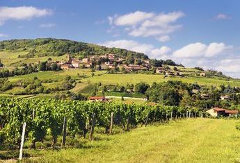 COLLONGES-AU-MONT-D'OR - MÂCON - LE VIGNOBLE DU BEAUJOLAIS - LYON