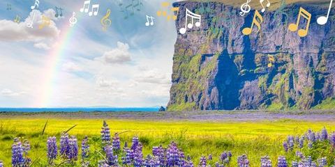 Islande Musicale 