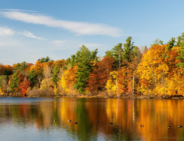 D&eacute;couvrez l'essetiel de l'Est canadien