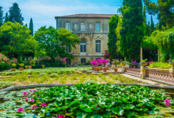 AVIGNON - ARLES(2)