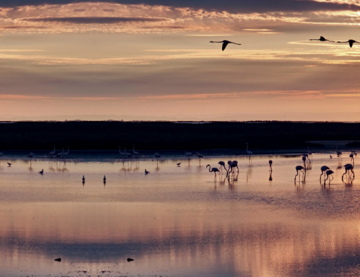 Thalasso Port Camargue "L&acirc;cher prise"