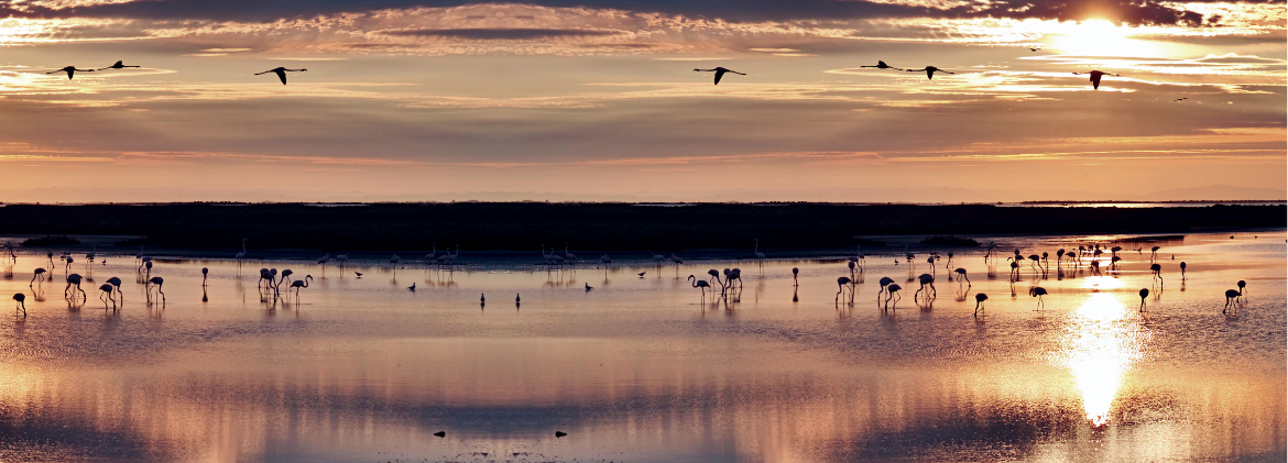 Thalasso Port Camargue "Lâcher prise"