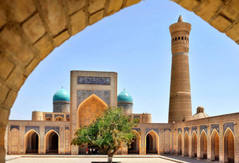 Découverte de Shiraz 