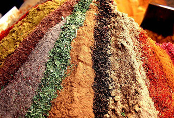 Suite de la découverte 