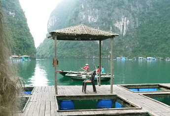 Extension 4 jours, 3 nuits: Hanoï et la baie d'Halong