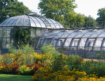 Croisière Jardins, de Lyon à Arles