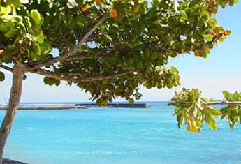 SAINT DENIS (La R&eacute;union)