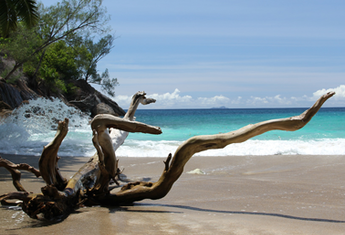 VICTORIA (Les Seychelles)