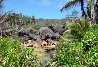 VICTORIA (Les Seychelles)