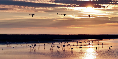 Thalasso Port Camargue "L&acirc;cher prise" avec Voyages Lecteurs