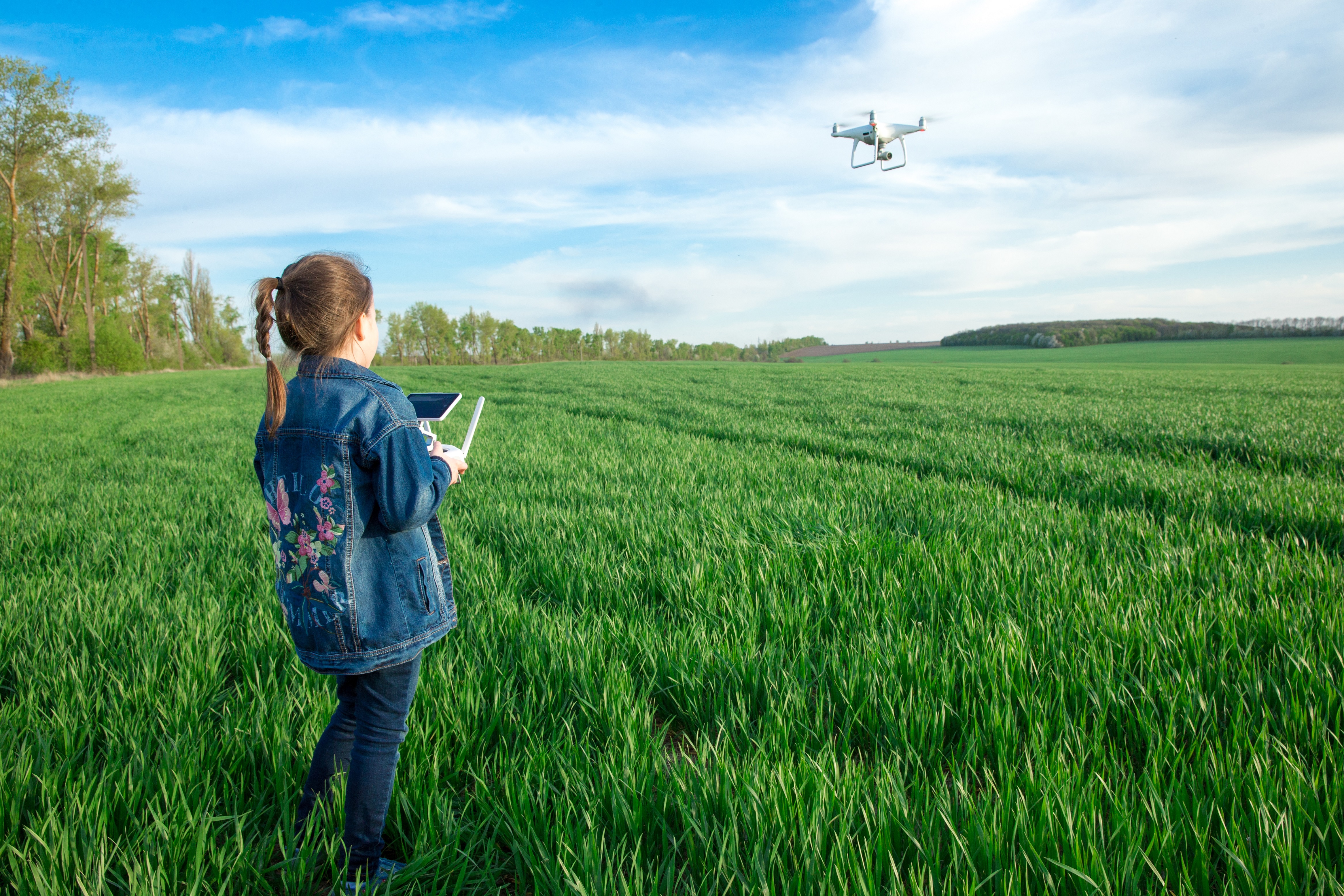 Drone Filleb